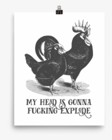 My Head Is Gonna Fucking Explode Poster"  Srcset="data - Rooster, HD Png Download, Free Download